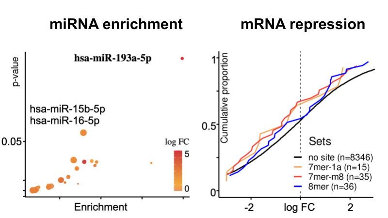 Figure 4: miRNA Governance